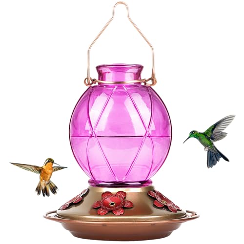 BOLITE 18016P Hummingbird Feeder for Outdoors, Netted Texture Ball Shape Bottle, 18 Ounces