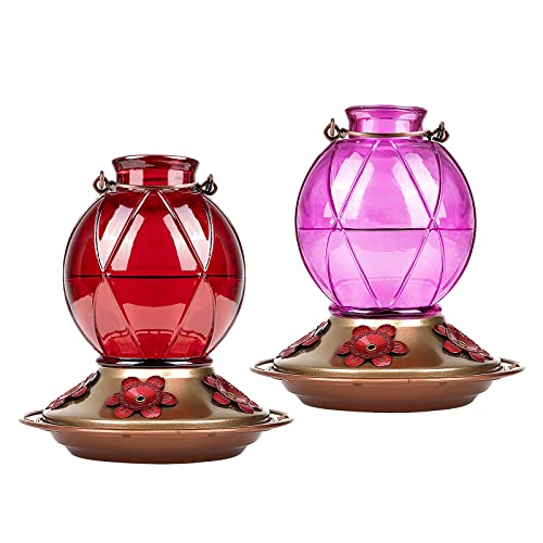 BOLITE 18016P Hummingbird Feeder for Outdoors, Netted Texture Ball Shape Bottle, 18 Ounces