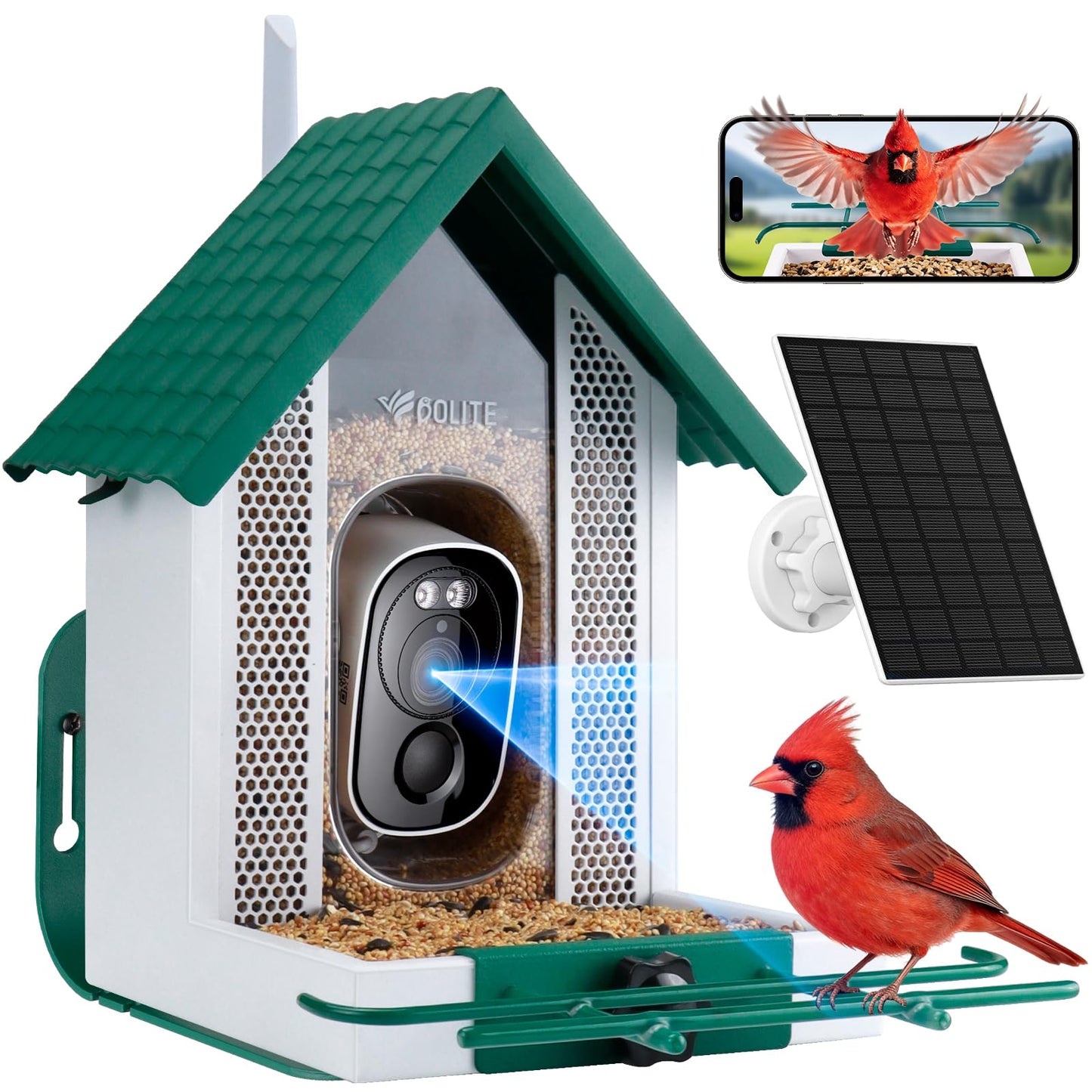 Smart Bird Feeder with Camera 2.5K HD, BOLITE Bird House for Outdoors, AI Auto-Capture & Motion Detection, Weatherproof Camera, Solar Powered, Ideal Gift for Men Women Mom Dad & Bird Lovers, Blue