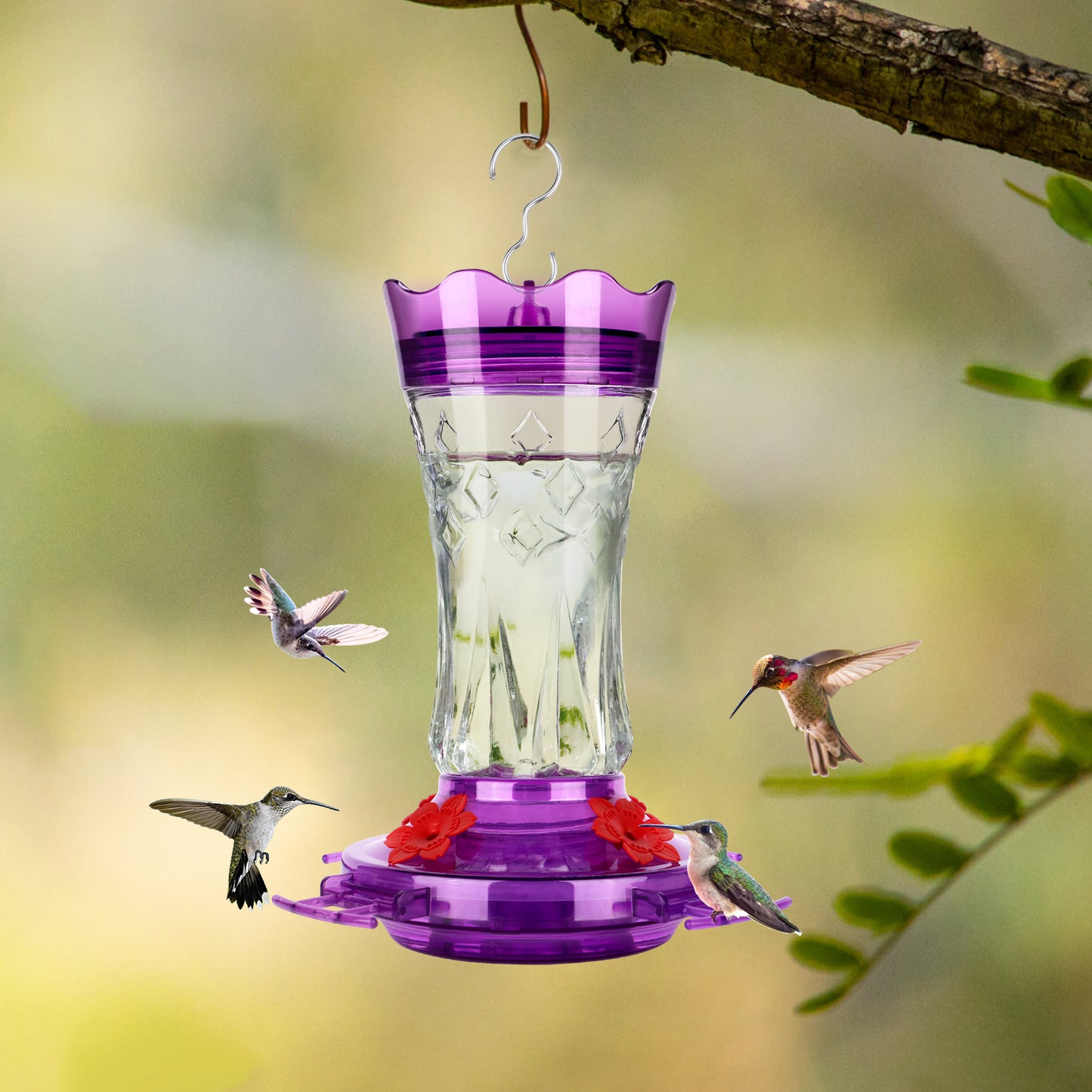 Ant-Proof & Bee-Proof Glass Hummingbird Feeder - Built-in Ant Moat & 4 Bee Guards - Leak-Proof 15oz Shatterproof Glass - Stars Decor (Red/Purple) - Perfect Outdoor Bird Gift