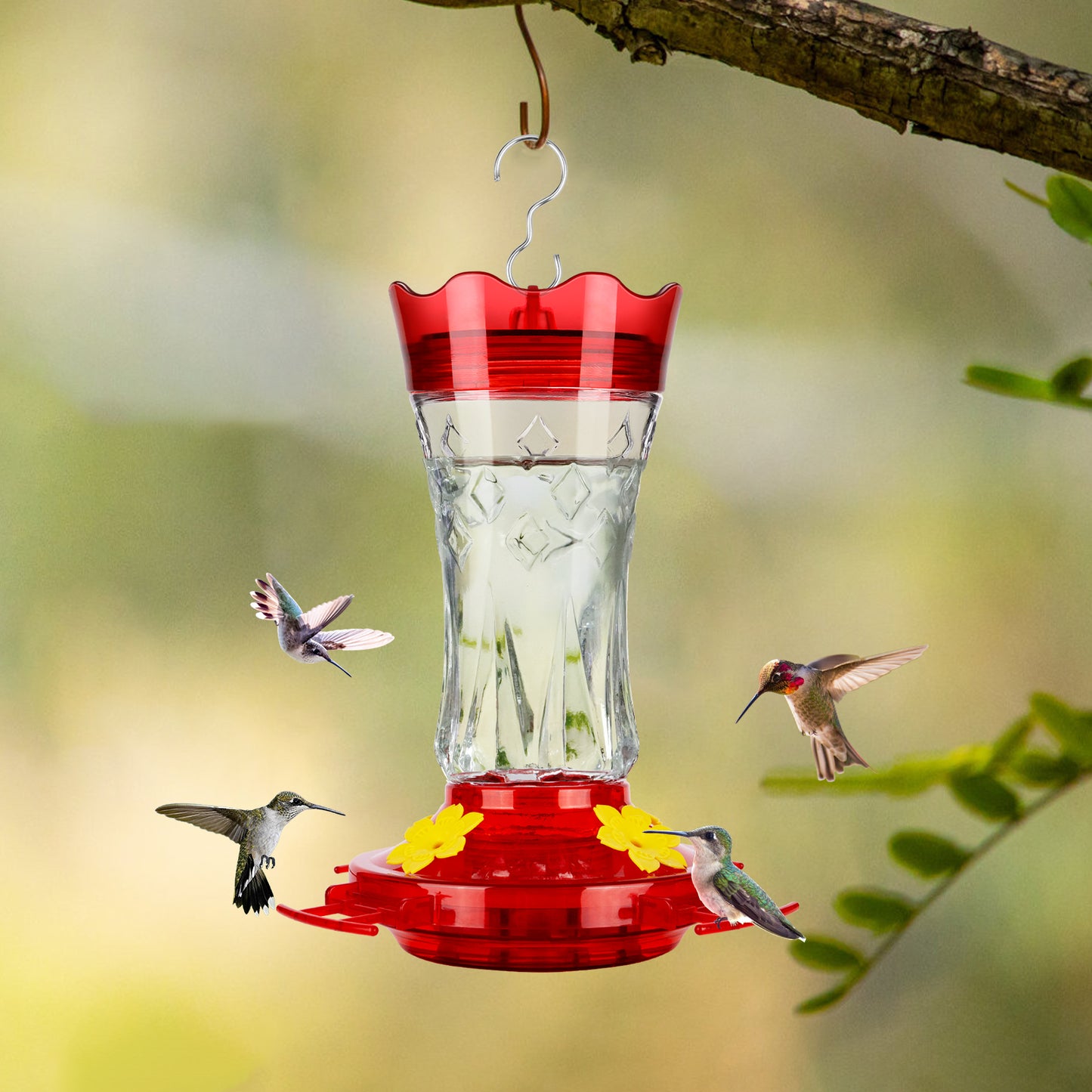 Ant-Proof & Bee-Proof Glass Hummingbird Feeder - Built-in Ant Moat & 4 Bee Guards - Leak-Proof 15oz Shatterproof Glass - Stars Decor (Red/Purple) - Perfect Outdoor Bird Gift