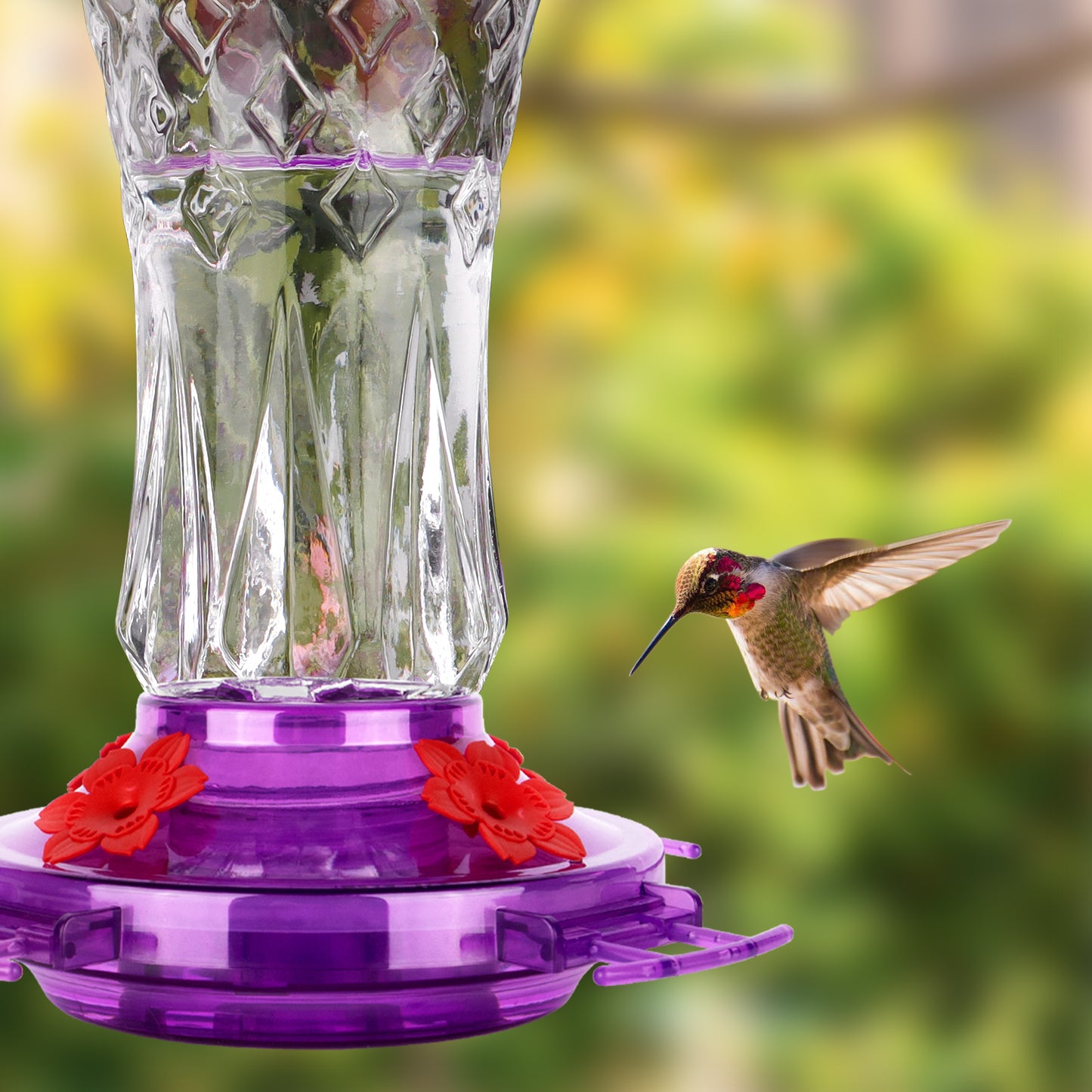Ant-Proof & Bee-Proof Glass Hummingbird Feeder - Built-in Ant Moat & 4 Bee Guards - Leak-Proof 15oz Shatterproof Glass - Stars Decor (Red/Purple) - Perfect Outdoor Bird Gift