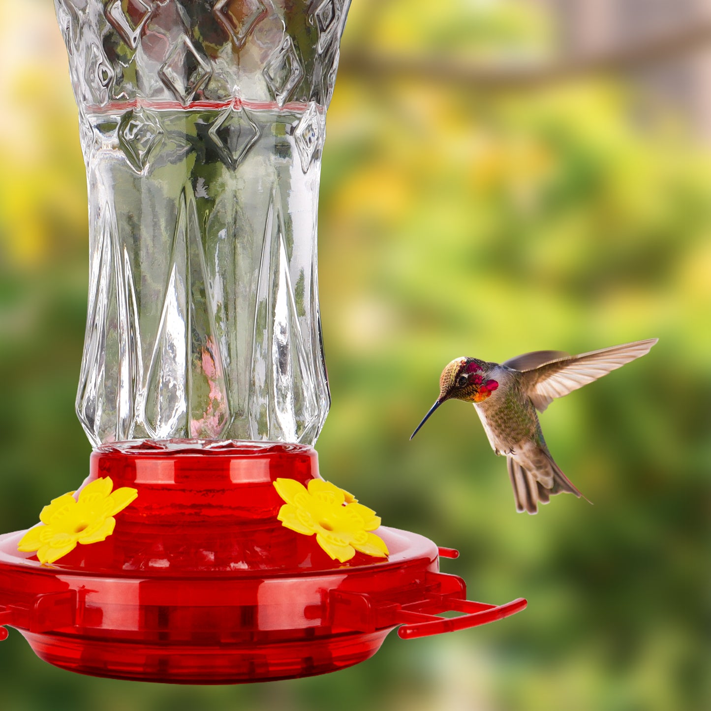 Ant-Proof & Bee-Proof Glass Hummingbird Feeder - Built-in Ant Moat & 4 Bee Guards - Leak-Proof 15oz Shatterproof Glass - Stars Decor (Red/Purple) - Perfect Outdoor Bird Gift