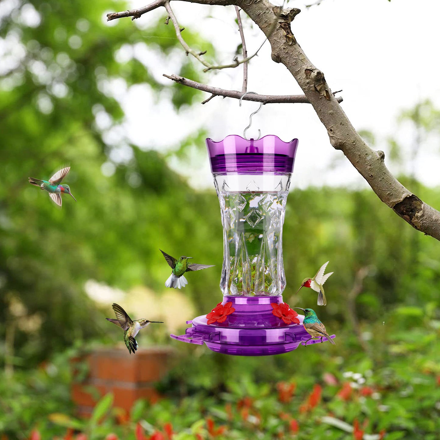 Ant-Proof & Bee-Proof Glass Hummingbird Feeder - Built-in Ant Moat & 4 Bee Guards - Leak-Proof 15oz Shatterproof Glass - Stars Decor (Red/Purple) - Perfect Outdoor Bird Gift