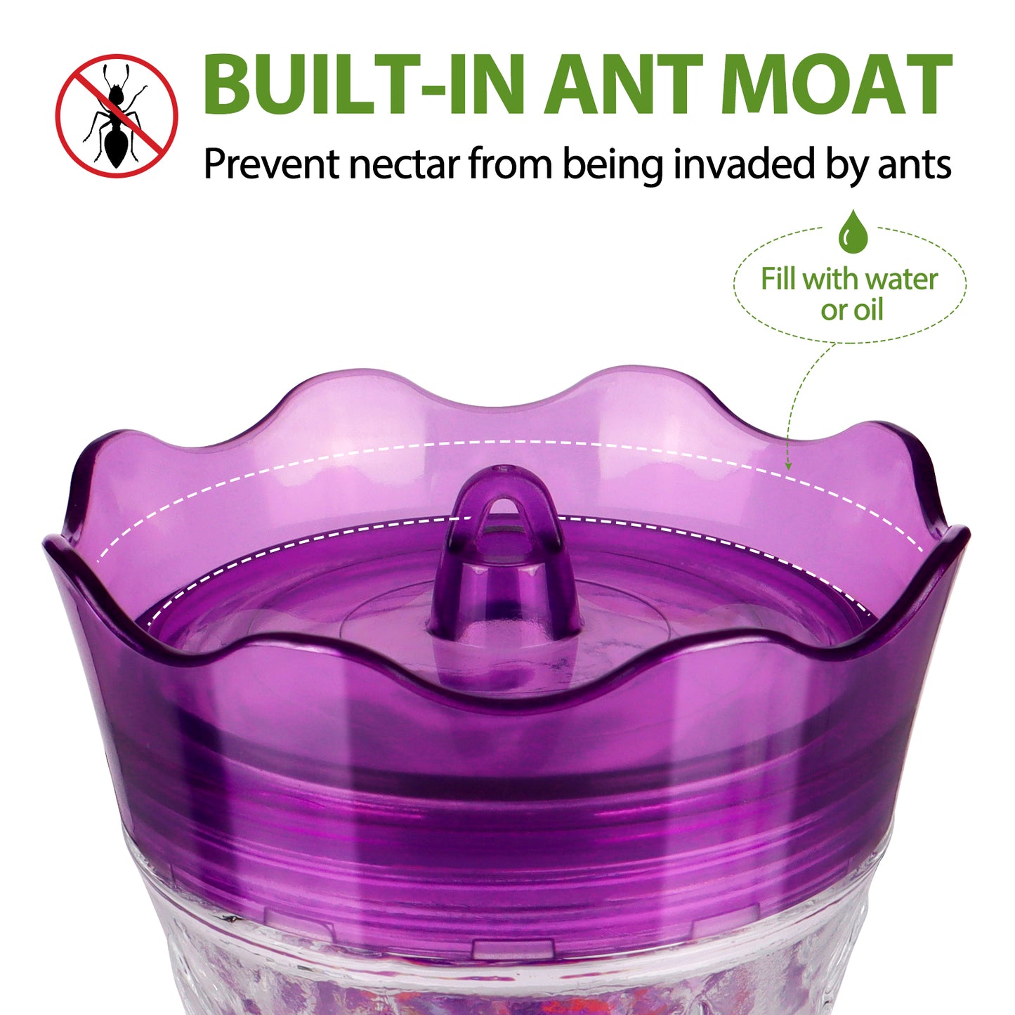 Ant-Proof & Bee-Proof Glass Hummingbird Feeder - Built-in Ant Moat & 4 Bee Guards - Leak-Proof 15oz Shatterproof Glass - Stars Decor (Red/Purple) - Perfect Outdoor Bird Gift