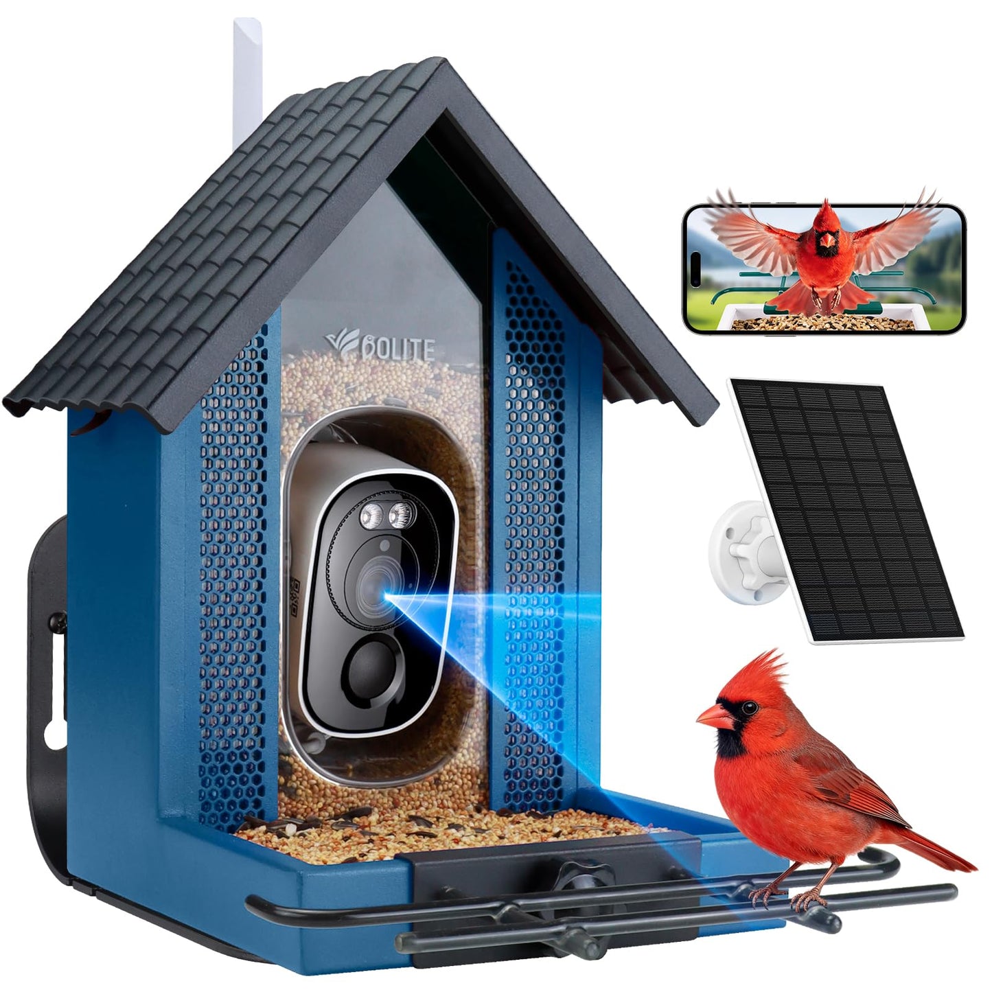 Smart Bird Feeder with Camera 2.5K HD, BOLITE Bird House for Outdoors, AI Auto-Capture & Motion Detection, Weatherproof Camera, Solar Powered, Ideal Gift for Men Women Mom Dad & Bird Lovers, Blue