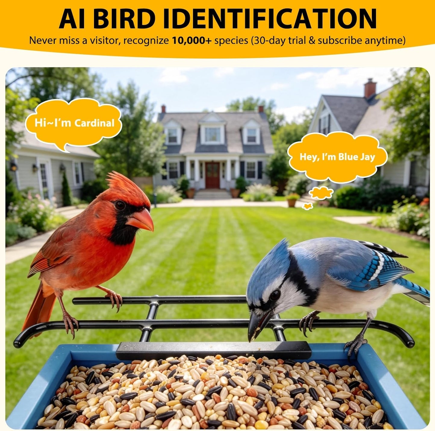 Smart Bird Feeder with Camera 2.5K HD, BOLITE Bird House for Outdoors, AI Auto-Capture & Motion Detection, Weatherproof Camera, Solar Powered, Ideal Gift for Men Women Mom Dad & Bird Lovers, Blue