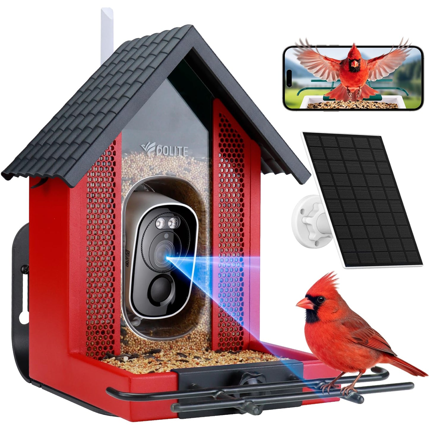Smart Bird Feeder with Camera 2.5K HD, BOLITE Bird House for Outdoors, AI Auto-Capture & Motion Detection, Weatherproof Camera, Solar Powered, Ideal Gift for Men Women Mom Dad & Bird Lovers, Blue