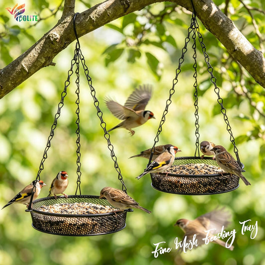 Hanging Bird Feeder, BOLITE Platform Bird Feeders for Outdoors, Metal Mesh Platform Feeders for Garden Decoration, Rust-Proof, Great for Attracting Wild Birds, Black, 2 Pack, Gift for Bird Lovers