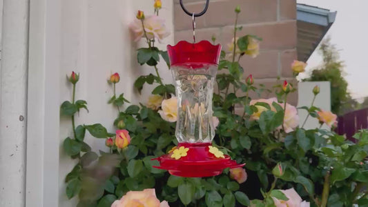 Ant-Proof & Bee-Proof Glass Hummingbird Feeder - Built-in Ant Moat & 4 Bee Guards - Leak-Proof 15oz Shatterproof Glass - Stars Decor (Red/Purple) - Perfect Outdoor Bird Gift